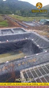 Bạt lót ao hồ 4m x 6m dày 0.3mm bảo hành 5 năm