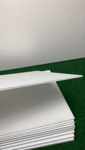 5mm thick PP Corrugated Board A2 Size x 5 pcs /PP Hollow/ Impra Board/Plastic Board/Stationery/Living Art 420mm x 594mm White