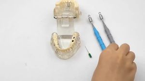 PIORPOY 1Pcs Dental Endodontic File Holder H/K/R/C+File Dental Instrument Root Canal Tool for Dentistry Using New Dropship