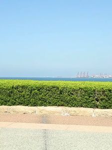 Morningstar Portable Outdoor Foldable Chair & Telescoping Stool: A Comprehensive Guide