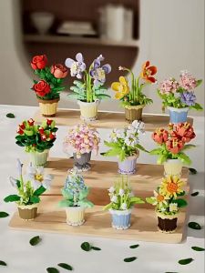 MEKANSM DIY Mainan Balok Buket 3D Puzzle Bricks Hadiah Pot Tanaman Flower Block Succulent Imitasi Bunga Abadi Model Balok Buket Untuk Anak 8 Tahun Mainan Pengembangan Memori - Lazada