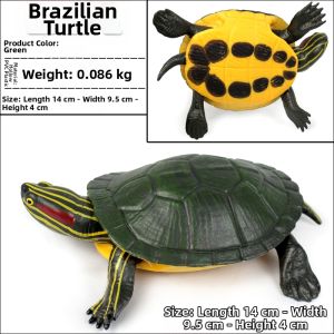 Turtle Model Toy for Child Learning