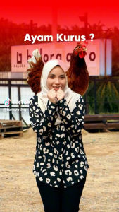 VITAMIN PENGEMUK UNGGAS LORAVET ( PENGGEMUK AYAM ITIK BURUNG )