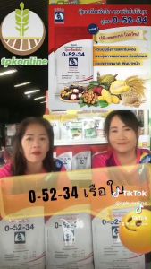 สูตร ตราเรือ รูปแบบ คุณภาพสูง การแตกใบอ่อน (0-52-34)