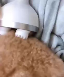Pet Massager Dog Cat Electric Portable Massage Automatic Massage Machine Tools 3D Kneading Mesin Urut Kucing Grooming Tools