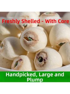 New Batch Large Pearl White Lotus Seeds 500g