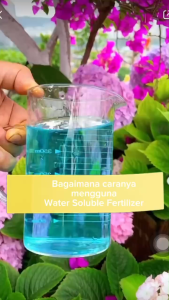 【COD】Huaduoduo universal flower fertilizer potted flowering water-soluble compound fertilize