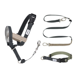 HIDREAM Stylish Pet Collar Leash And Muzzle Set Adjustable Anti-Pull Dog Collar durable Lead Rope Reflective Dog Mask Anti-Bite For Pets