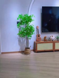Minimalist Elegant Adjustable TV Stand