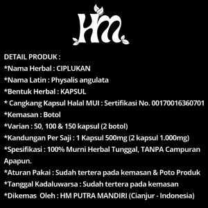Herbal Murni - CIPLUKAN Isi 50 100 150 ciplukan alami 100% asli original membantu pengobatan
