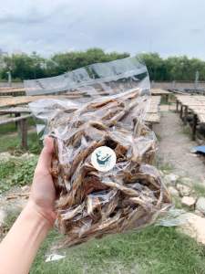 ปลาช่อนทะเลตากแห้ง ปลาช่อนตัวตากแห้ง ปลาตัดหัว ปลาน้ำพริก ทานได้ทั้งตัว