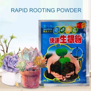 10 Bags 10g Rooting Powder: A Comprehensive Guide