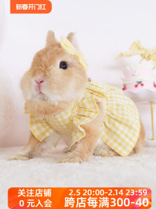 Adorable Polka Dot Rabbit Outfit with Leash Warm Plaid Skirt Fashionable Pet Clothing for Rabbits Umi Brand Item Number 74145
