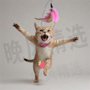 Head-Mounted Auto-Entertaining Cat Toy Consumable Energy-Expenditure Neck Collar Pet Supplies Boredom-Buster Interactive Cat Teaser