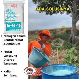 Pupuk Mutiara 16 16 16 1 kg Kemasan Pabrik Untuk Penyubur Tanaman