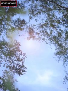 Tủ lạnh mini gia đình tích hợp hai ngăn riêng biệt ngăn làm mát và ngăn tủ đông tiện lợi tiện dụng an toàn cho sức khỏe gia đình bạn Bảo hành 2 năm