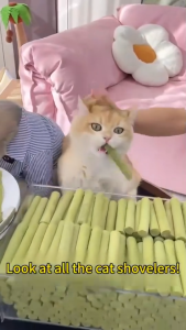 V-0042 Cat Grass Teething Stick Pet Snacks Food for All Ages Cat