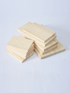 Pine Board DIY Craft Educational Model