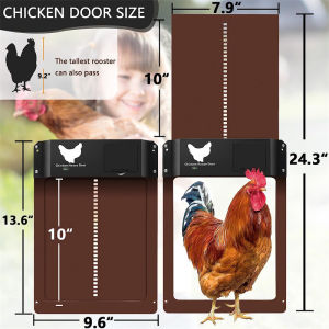 2026 New Metal Intelligent Automatic Chicken Coop Door Electric Timing Induction Auto Open Close Farm Management Tool