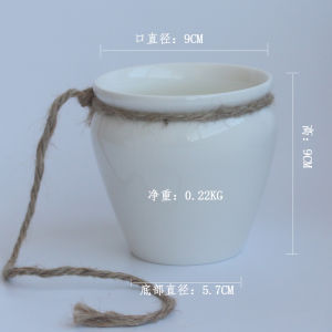 Succulent Wall-Hung Basin Hanging Basket Hanging Hanging Flower Pot Ceramic Chlorophytum Wall Hanging Indoor Creative Hydroponic Water Planting Green Plant Pot