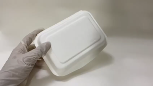(50Pcs) Biodegradable Disposable Lunch Box / Sugarcane Lunch Box / Bio Box / Take Away Lunch Box
