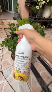 ปุ๋ยเร่งดอก อาหารบำรุงดอก เร่งดอก ดอกสวยสดใส กลีบดอกแข็งแรง