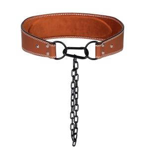 GINGPAI | Weightlifting Belt for Pull-ups and Squats with Thickened Iron Chain