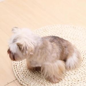 Winter Warm Dog Clothes For Small Medium Dogs Cats With D-ring Soft Cozy Puppy Fleece Jacket Yorkshire Chihuahua Pet Costume