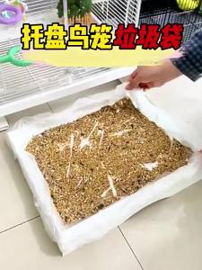 Disposable Pet Cleaning Bag Plastic Film