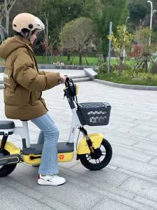 WANSLO | Hộp Đựng Sau Phía Sau nhỏ đa năng