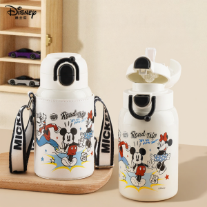 Disney | Insulated Easy-drinking Water Bottle