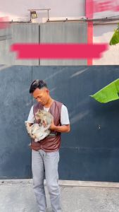 Mall Perabot | Tempat Mangkok Makan Hewan Peliharaan Kaki Tinggi | Tempat Makan Kucing Anti Semut Pet Feeder