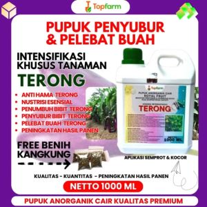 Pupuk Terong: Cara Meningkatkan Produksi Buah