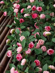 Dây Leo Giả Hoa Hồng Lụa Cây Treo Giả Hoa Giả Trang Trí Đám Cưới Nhà Cửa Vườn Tường Vòm Chất Liệu Polyester