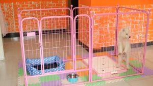 Metal Foldable Pet Safety Gate/Adustable Pet Fence Barrier/70/80/90/100cm Height 6 Panel per set (with Gate)/Rainbow Culture