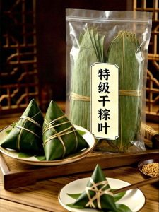 WENXIANGZAN | Fresh Large Zongzi Leaves