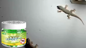 🦎100 เมตรไม่มีตุ๊กแก🦎Max ไล่จิ้งจก ยาฆ่าจิ้งจก ยาไล่ตุ๊กแก ไล่ตุ๊กแก ยาจิ้งจก กำจัดตุ๊กแก ซื้อ 1 แถม 1