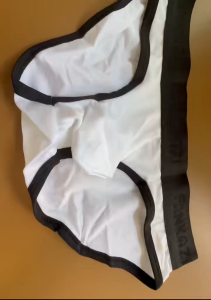 Mens Brief : Japanese Style Metallic Brushed Brief Underwear (Fankazi F3002)