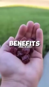 Local Ship Halal Shilajit Pure Himalayan Organic Shilajit Gummies Improve Energy & Immune Trace Minerals Fulvic & Humic Acid Hot