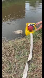 SHINING เรือปั๊มน้ำ 1.47 แรงม้า 1 สายฉีด 2 เส้น หัวฉีด ไม่กำหนด 24 ช่องว่าง