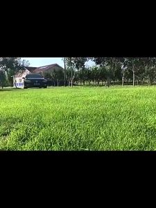 Alat Cuci Mobil 450W