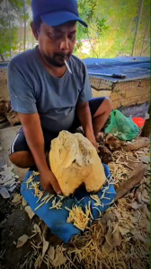 PROMO PPGG 1 liter INOKULAN GAHARU TERBARU di jamin berhasil