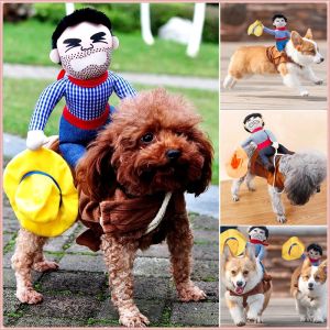 Halloween Pet Clothing: Fun Costumes & Transformative Outfits
