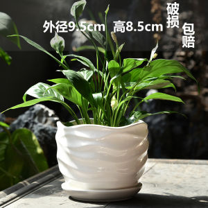 Hũ Hoa Gốm Sứ Cỡ Lớn Cỡ Vừa Cho Nhà Cửa Hộp Đựng Hoa Phong Cách Châu Âu Trắng Bướm Hạt Giống Xanh Trồng Cây Xanh