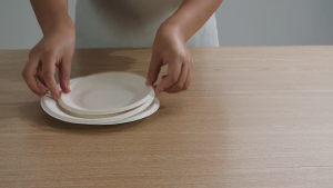 Piring Sugarcane | Piring Bahan Daur Ulang Tebu 10PCS | Biogradable Sugarcane Bagasse Plates Eco friendly Disposable Piring SH AE29