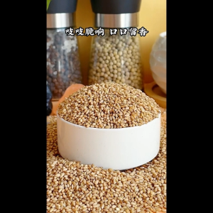 高品质白芝麻|颗粒饱满|厨房必备调味食材 High Quality White Sesame Seeds – Clean Selected Seeds for Culinary Use