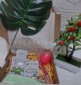 Hampers Masker Wajah,  Gift Box, Kado Ulang Tahun, Paketan Masker. 
