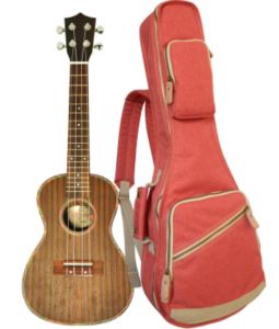 กระเป๋าใส่อูคูเลเล่แบบมืออาชีพป้องกันการกระแทกอย่างหนาผ้าใบทนทานพร้อมสายสะพาสกระเป๋าเป้ที่ปรับได้และระบายอากาศได้สองชั้นเก็บของสำหรับอูคูเลเล่ขนาด26นิ้ว