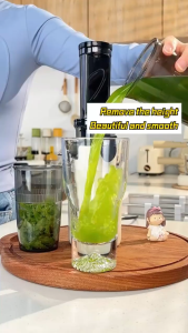 Authentic X2000 Slow Juicer Slow Juicer Cold Press Multifunction Juice Extractor Blender Food Processor