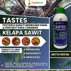 Obat Sawit Busuk Pucuk / Obat Bintik Pada Daun Sawit / Obat Sawit Mati Pucuk / Obat Kelapa Sawit Mati Pucuk / Obat Semprot Sawit / Obat Pembunuh Pohon Sawit